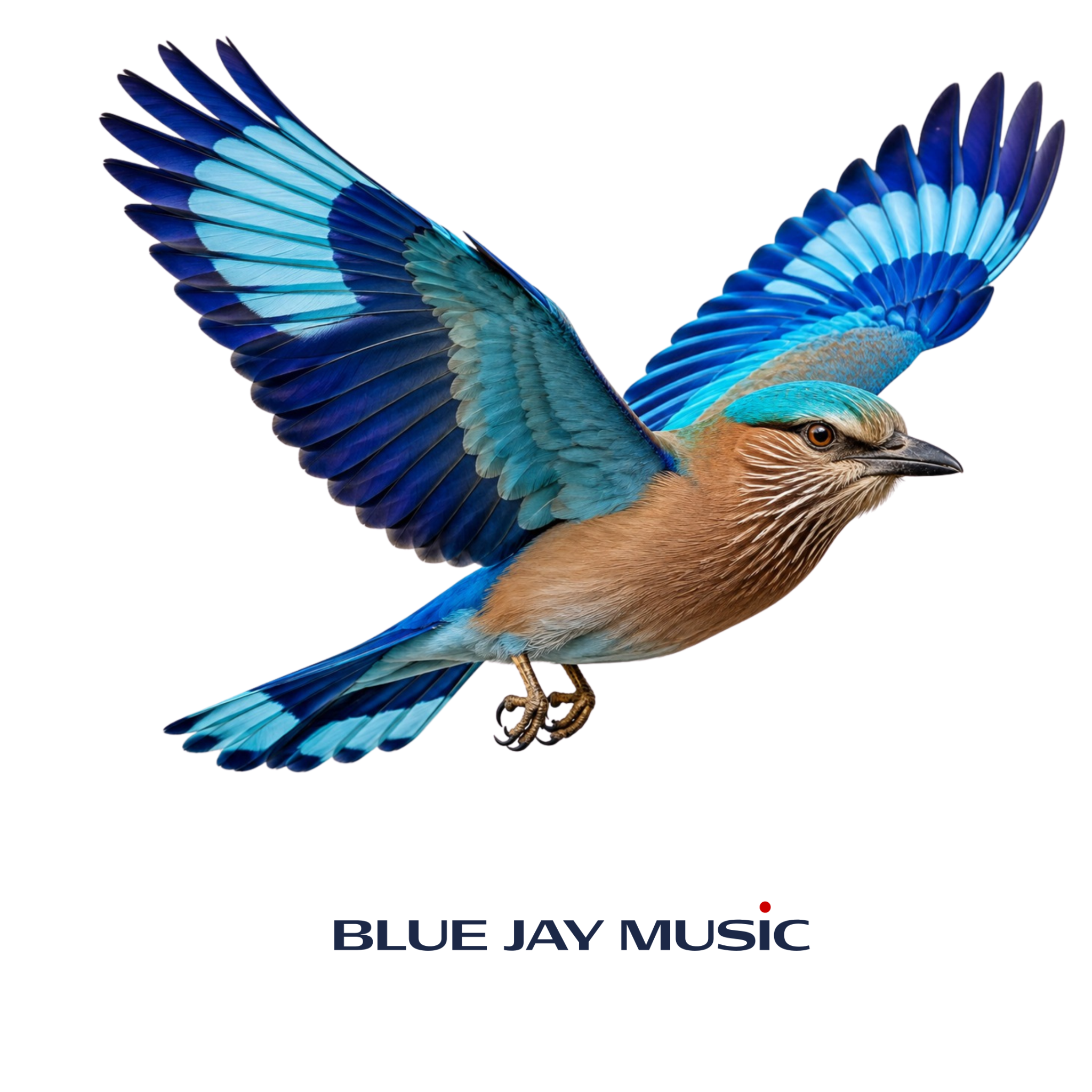 Blue Jay Music Label